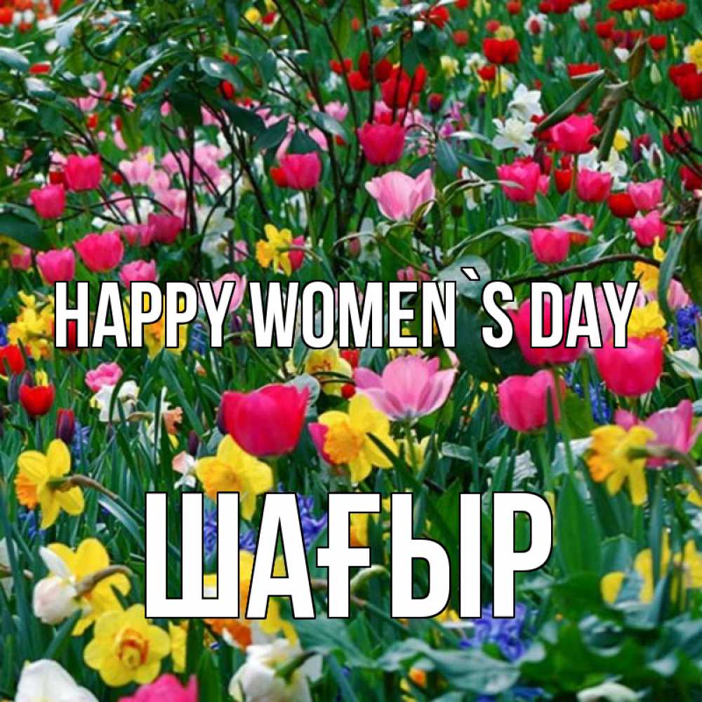 Greetings card с именем, ШАҒЫР happy women`s day с международным женским днем поздравления для женщины Greetings with text for free download 